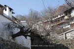 selo-dechevo-ivelina-berova-11