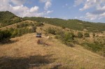 selo-doleni-ivelina-berova-8