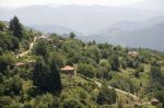 krastatica-ivelina-berova_2