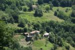 krastatica-ivelina-berova_23