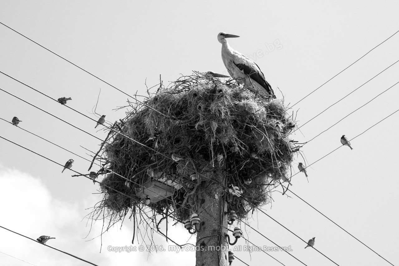 dolna_studena_myroads_berova_ (3)