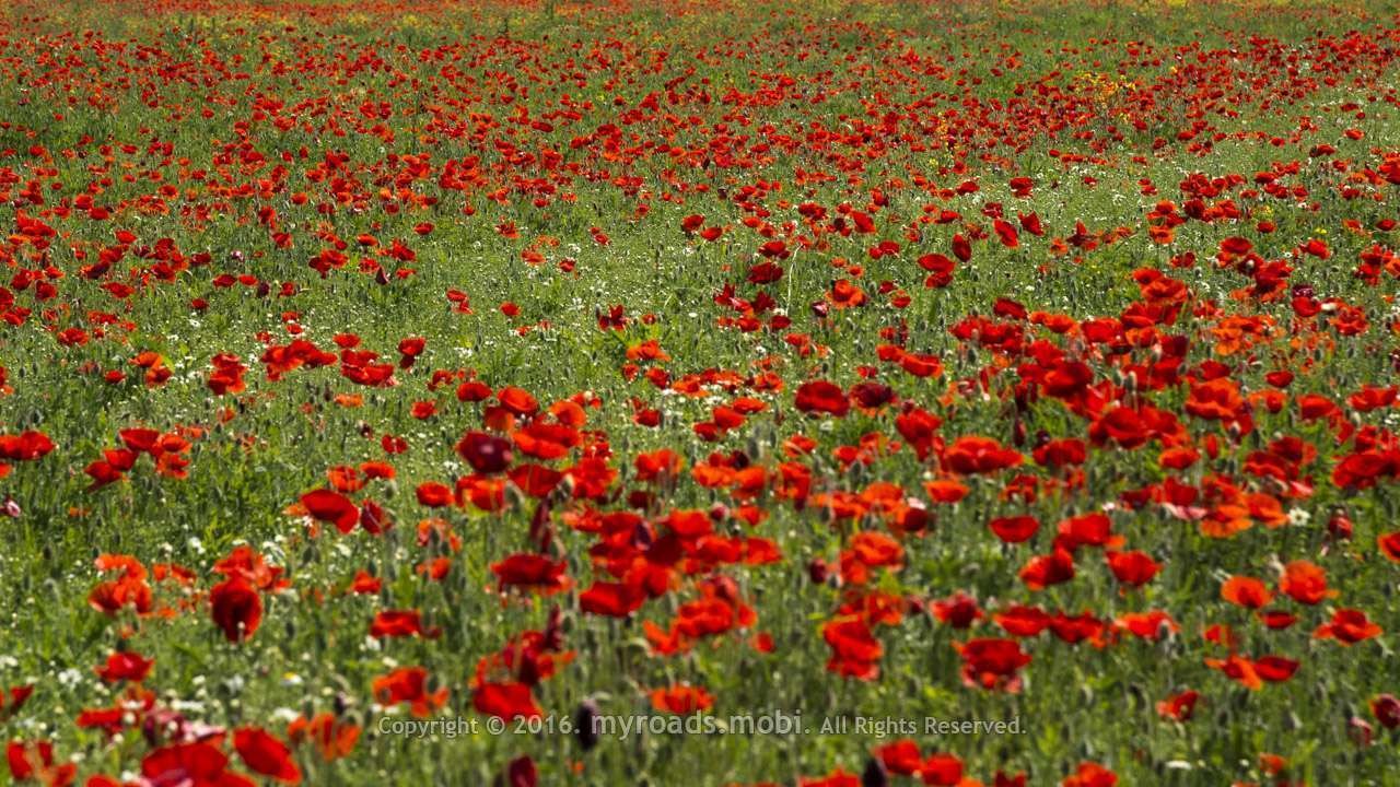 devetashka_cave_berova_myroadsmobi_ (1)