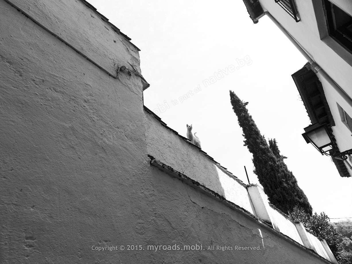 granada-ivelina-berova (26)