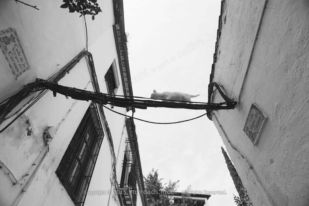 granada-ivelina-berova (27)