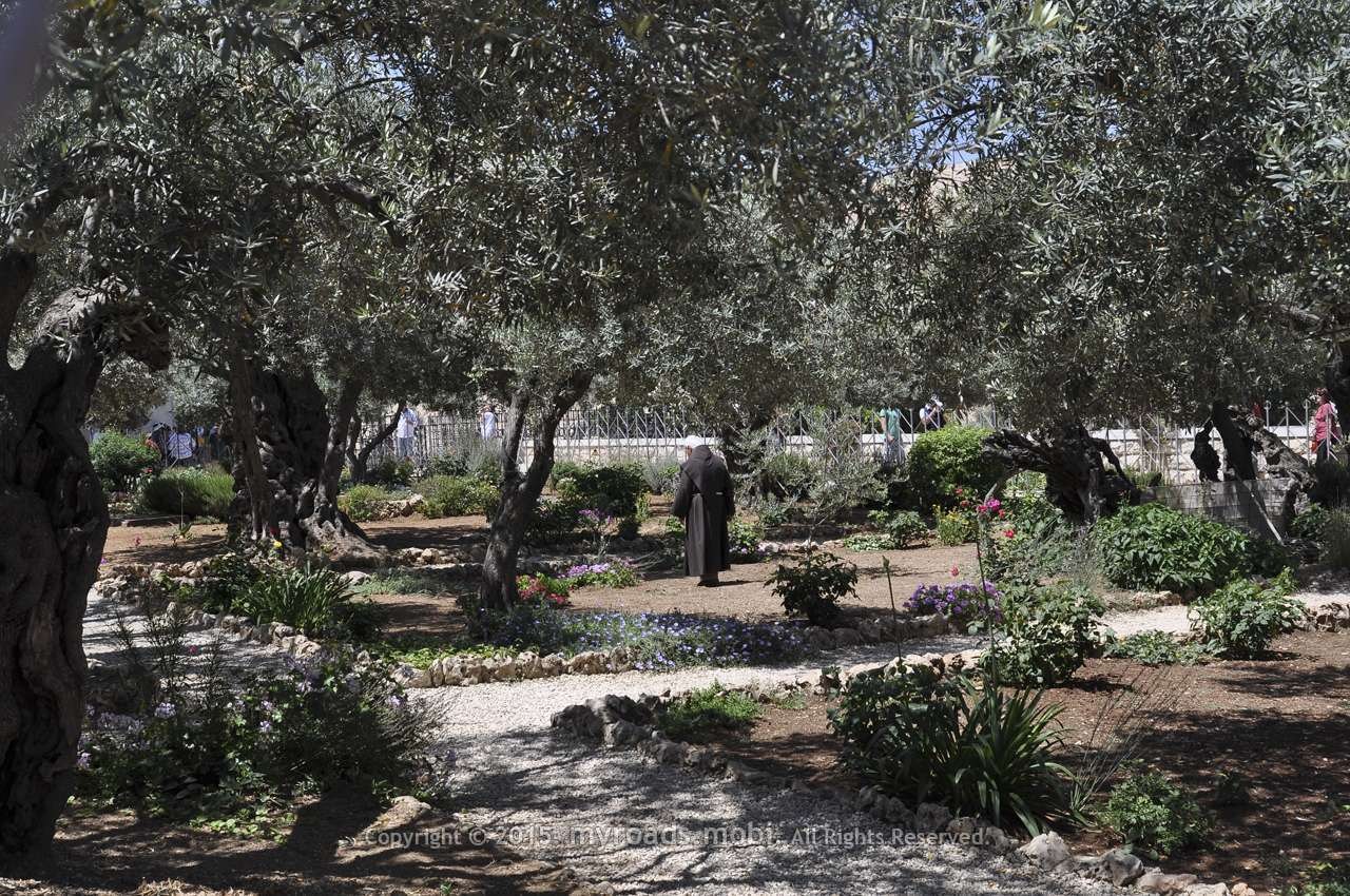 jerusalim-myroadsmobi (14)