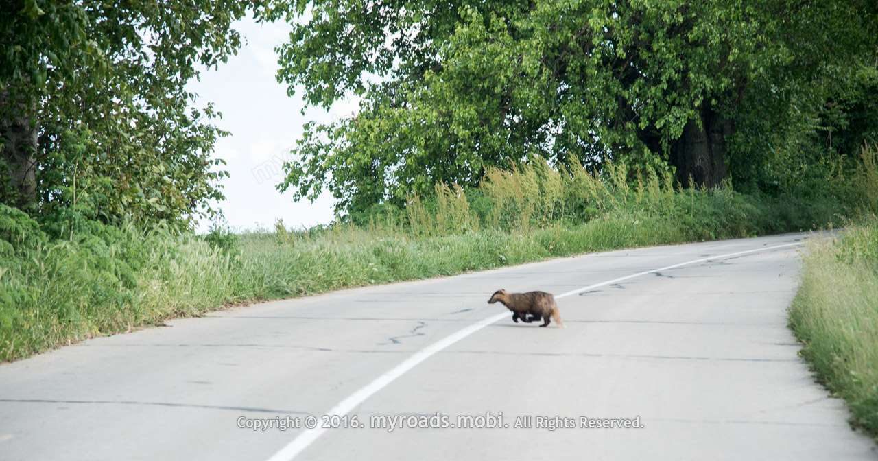 selo_ekzarh_yosif_myroads_mobi_berova_(7)