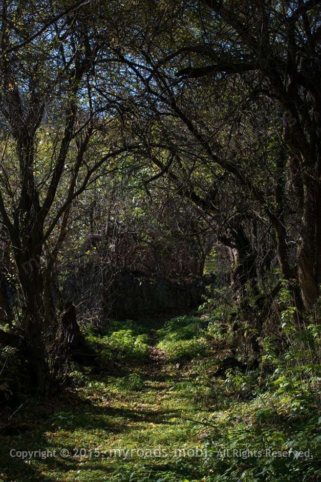 milanovo-myroadsmobi_6