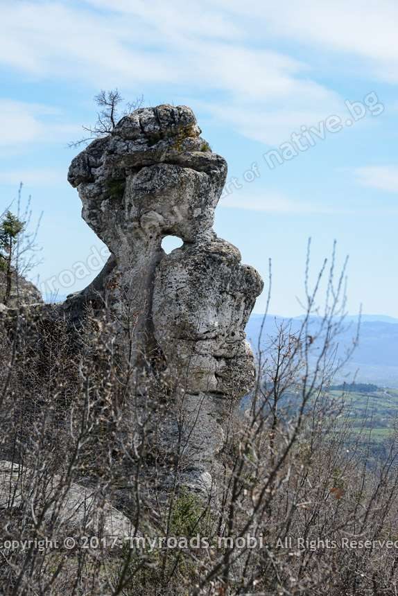 probitiat-kamak-stomanci-myroadsmobi-berova (5)