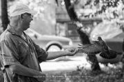 man-pigeon-2015-ivelina-berova (4)