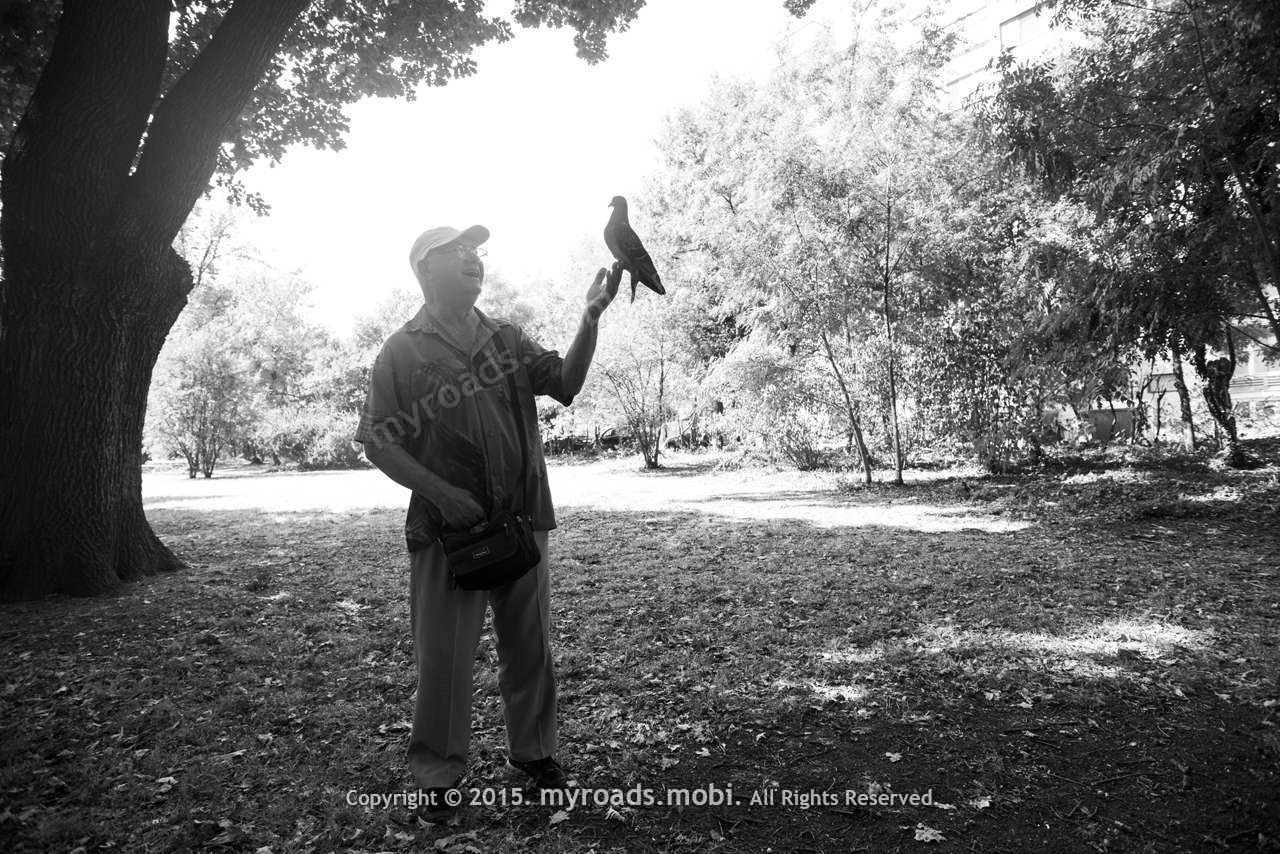 man-pigeon-2015-ivelina-berova